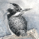 心情（ヤマセミ）:250*200mm, アクリル, 2010