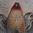 火の鳥（ヤマドリ）:560*380mm, アクリル/金箔/パステル/アルシュ紙, 2011, 個人蔵（日本）